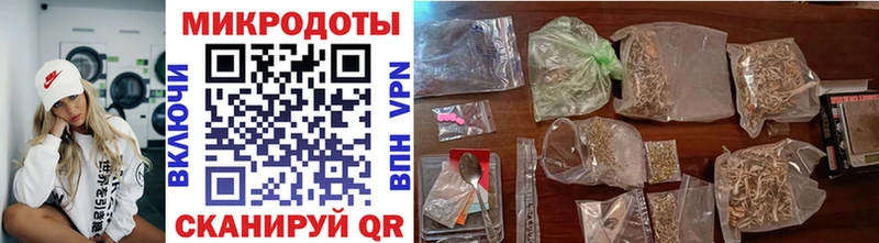 Купить закладки  Дно  Галлюциногенные грибы Cubensis 